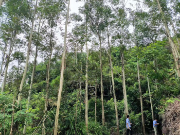 <stl:content type='Title'>